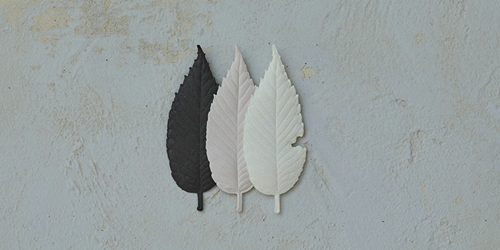 myoovi-cover-(1).jpg